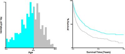 The prognosis difference between elderly and younger patients with adrenocortical carcinoma